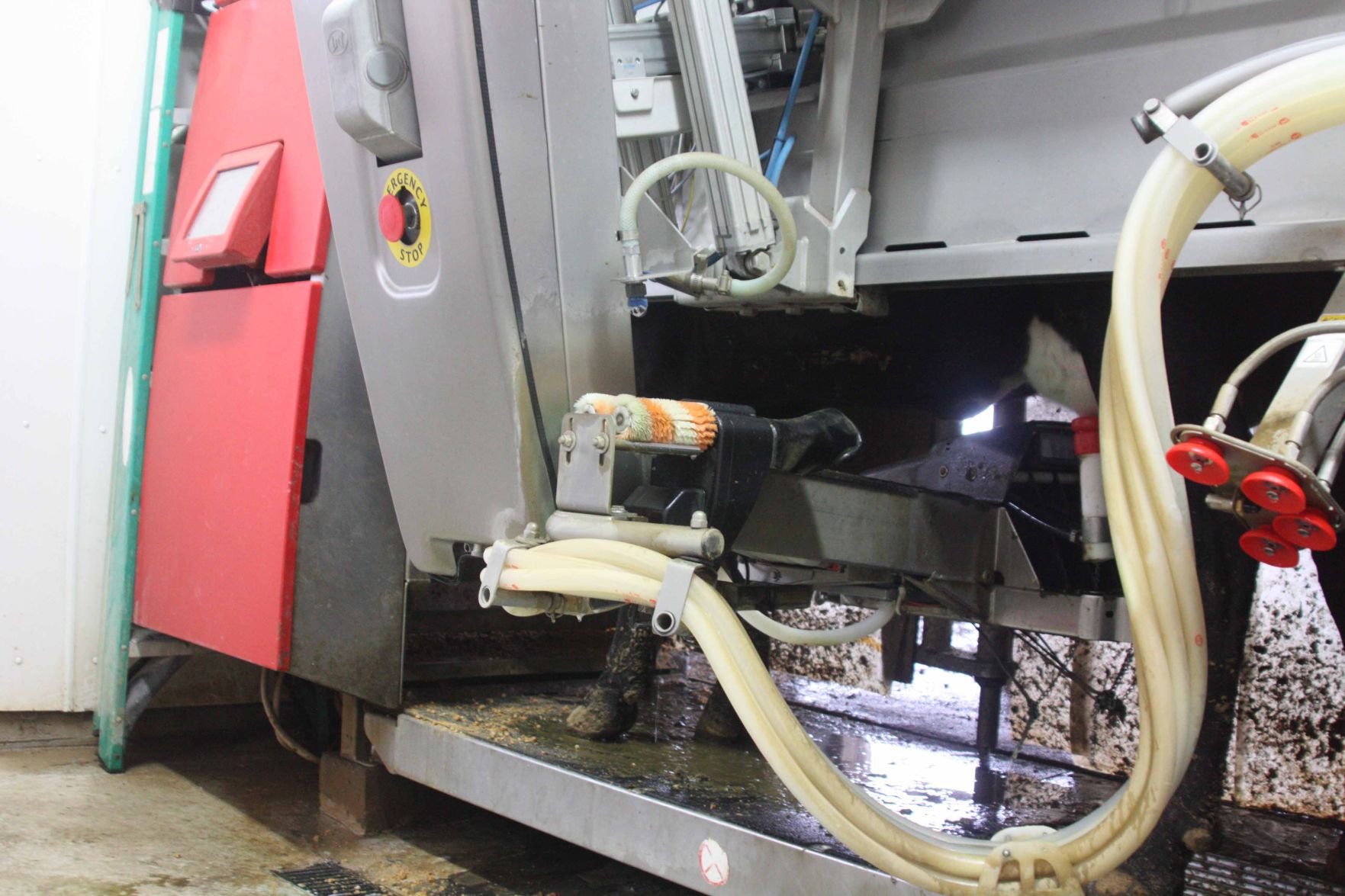 Ken Nolden robotic milker